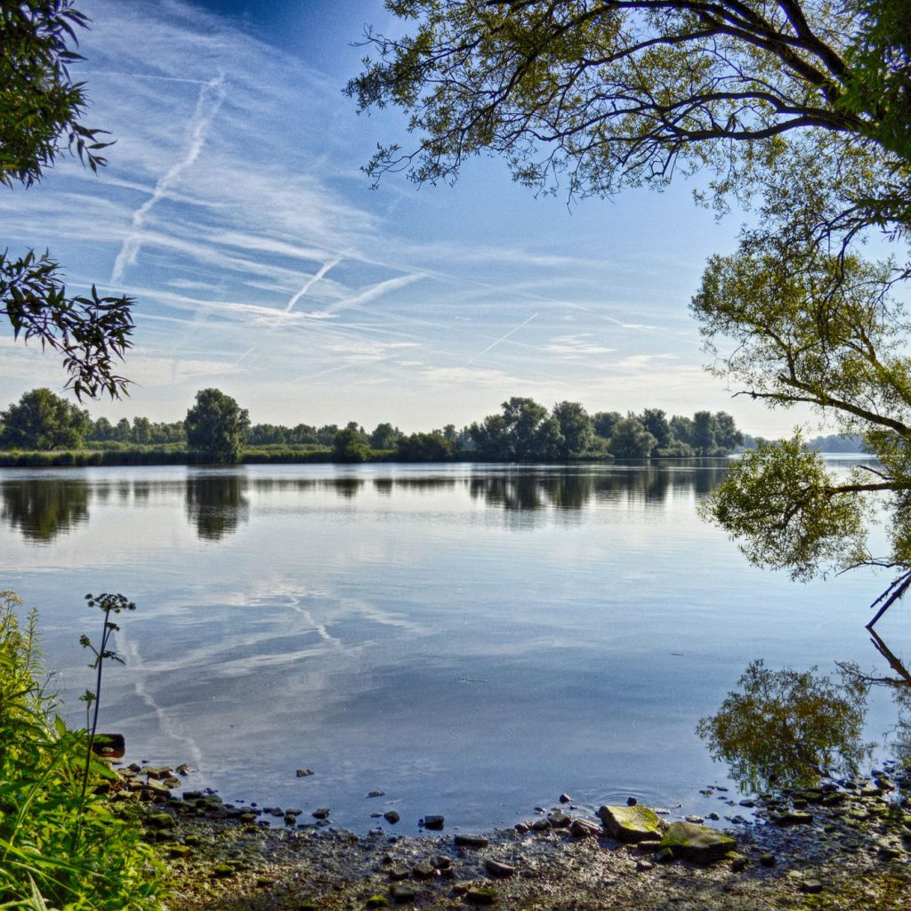 nationaal Park de Biesbosch - natuur Dordrecht