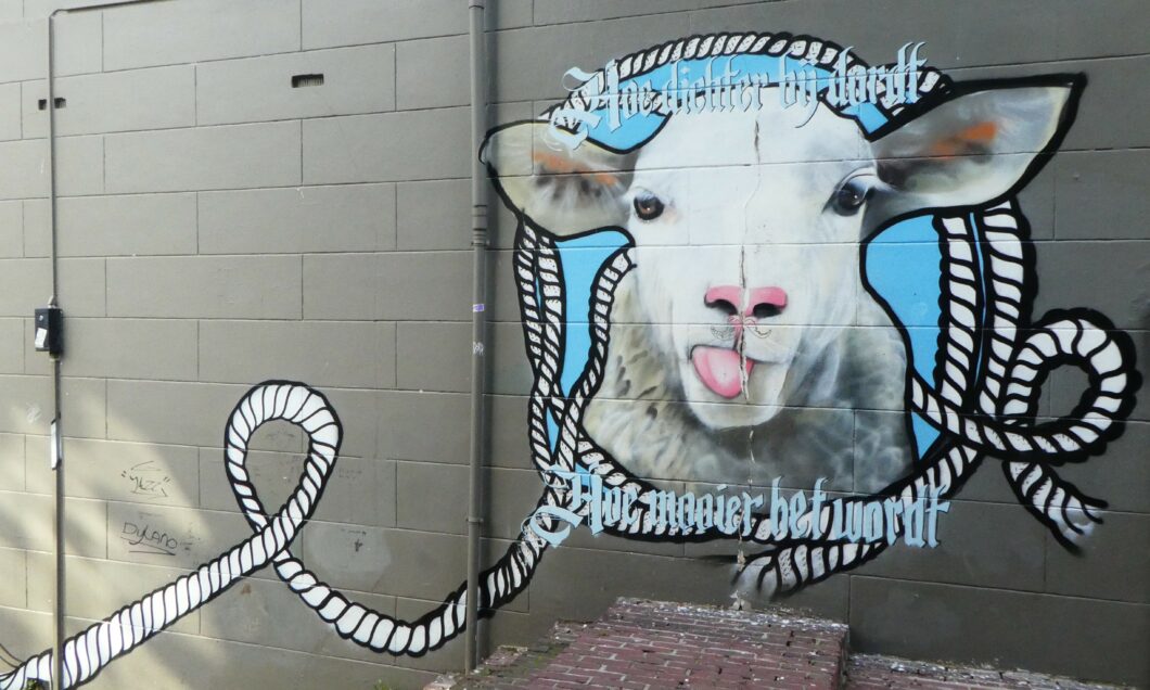 Street Art Dordrecht Wandeling Schapenkop-Voorstraat