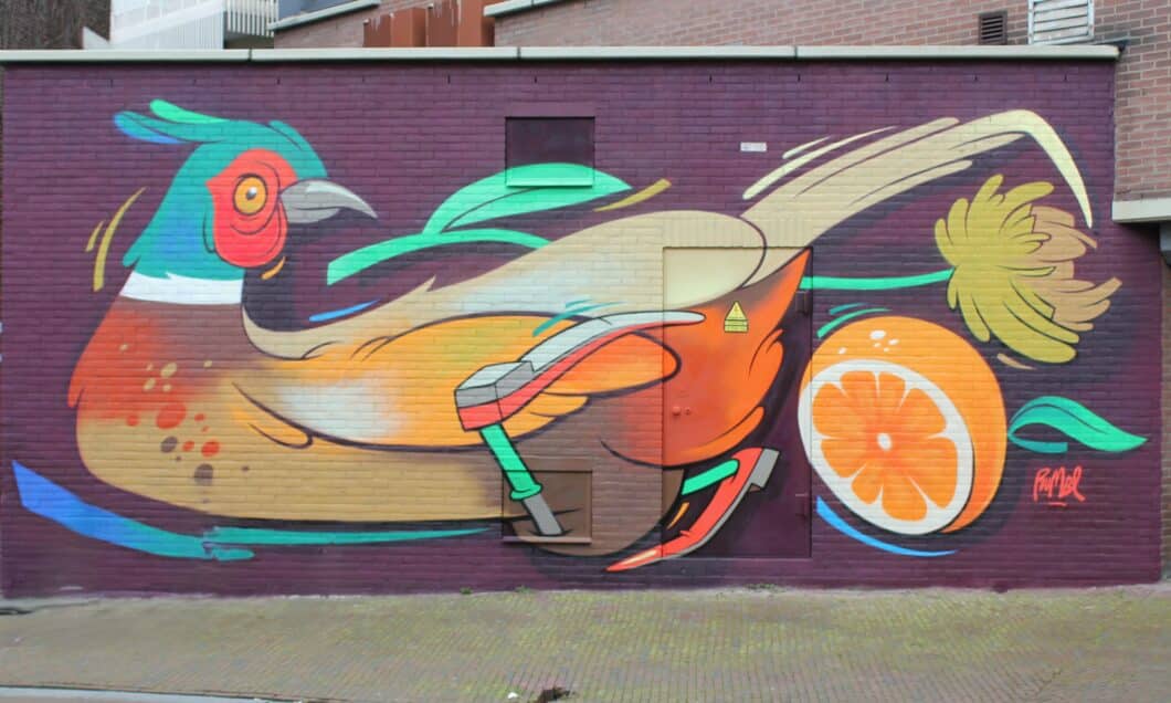 Street Art Dordrecht Wandeling Danny Rumbl