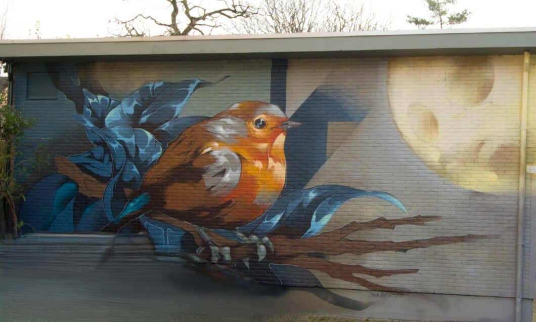 Street Art Dordrecht Wandeling Roodborstje