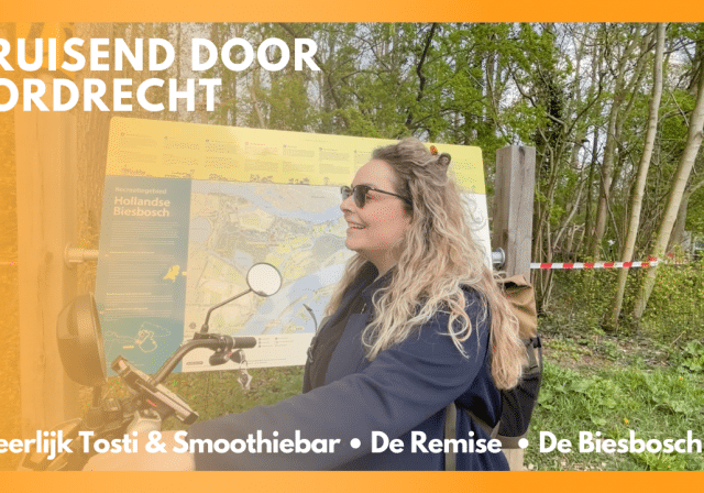Dordt Vlogt | e-chopper binnenstad & Biesbosch