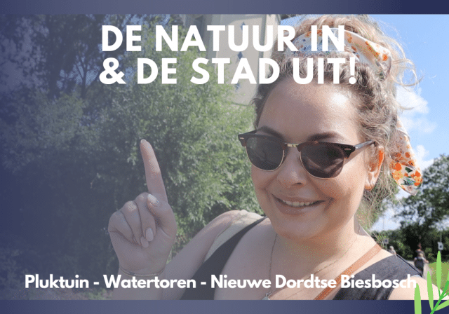 Miniatuur De natuur in en de stad uit Dordt Vlogt Dordrecht