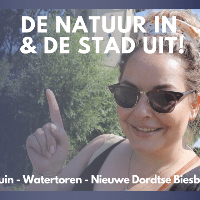 Miniatuur De natuur in en de stad uit Dordt Vlogt Dordrecht