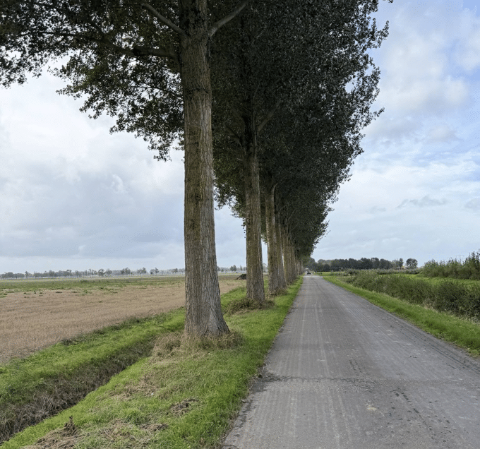 elzelingenweg