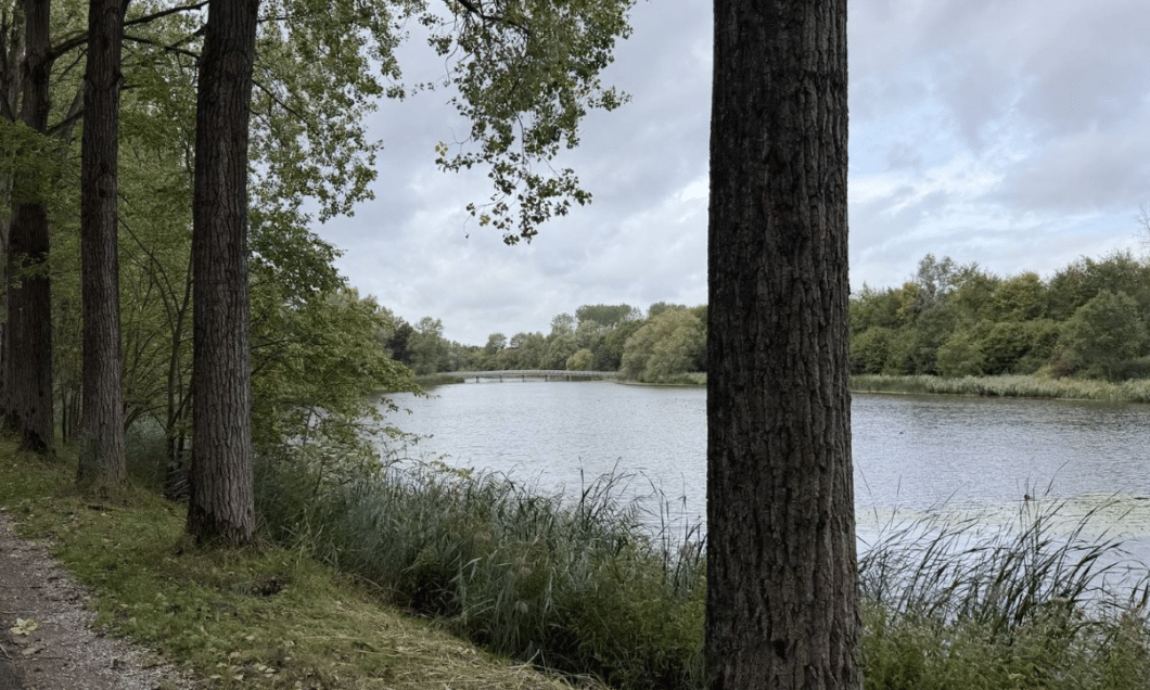 canneman polder