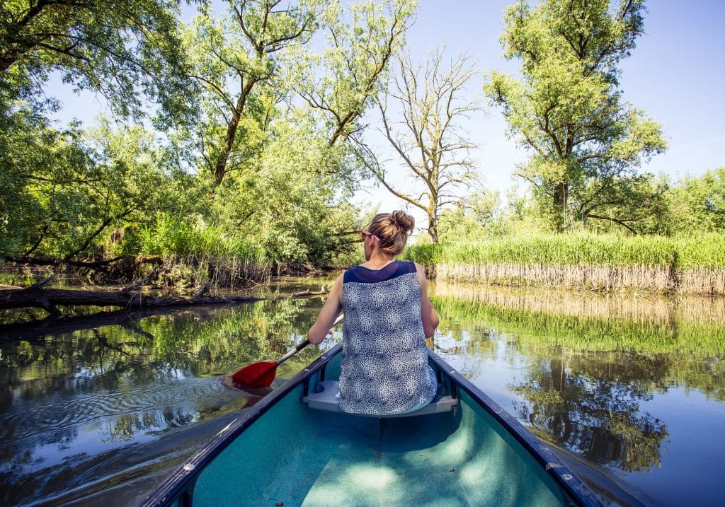 Biesbosch kano water citytrip Nederland