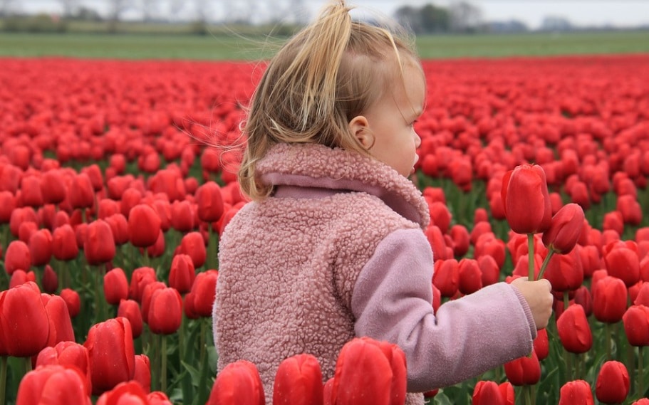 Pagina UITagenda Scharrelkids IVN Dordrecht - foto stock