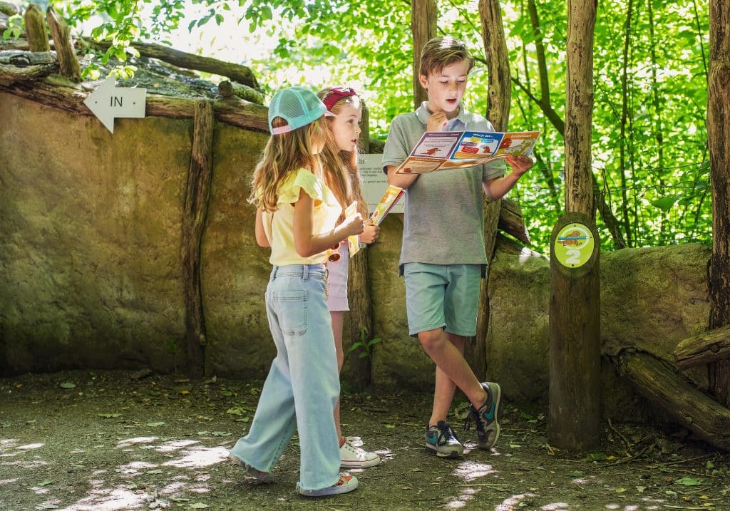 Beverspeurtocht beverbos kinderen activiteiten Biesbosch zomer natuur Dordrecht (2)