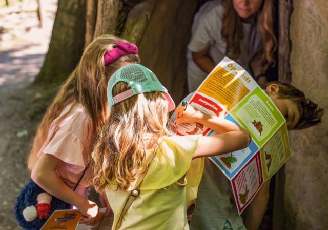 Beverspeurtocht beverbos kinderen activiteiten Biesbosch zomer natuur Dordrecht (3)