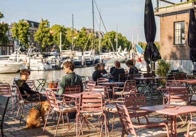 Reber Rebel eten drinken terras kinderen hond Nieuwe Haven zomer Dordrecht