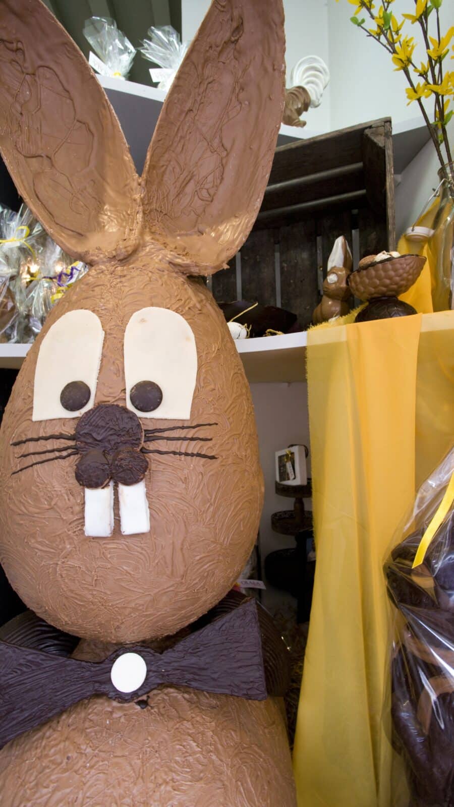 OLALA Chocola winkel delicatessen pasen paashaas centrum Dordrecht