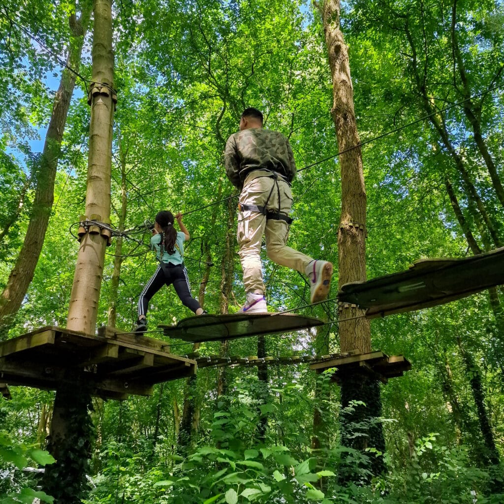 Klimbos kinderen activiteiten Biesbosch Dordrecht