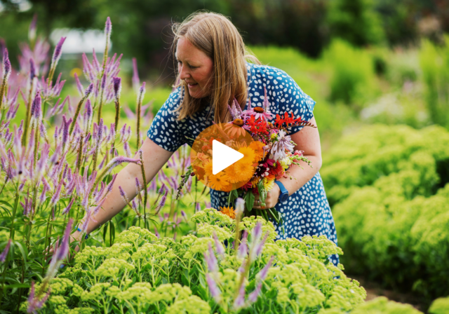 Video Pluktuin Dordrecht