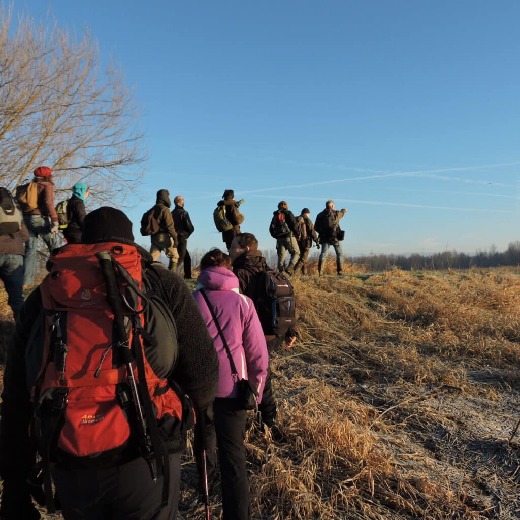 Biesboschcentrum - winterwandeling