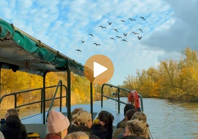 Uitgelichte afbeelding reel Biesbosch