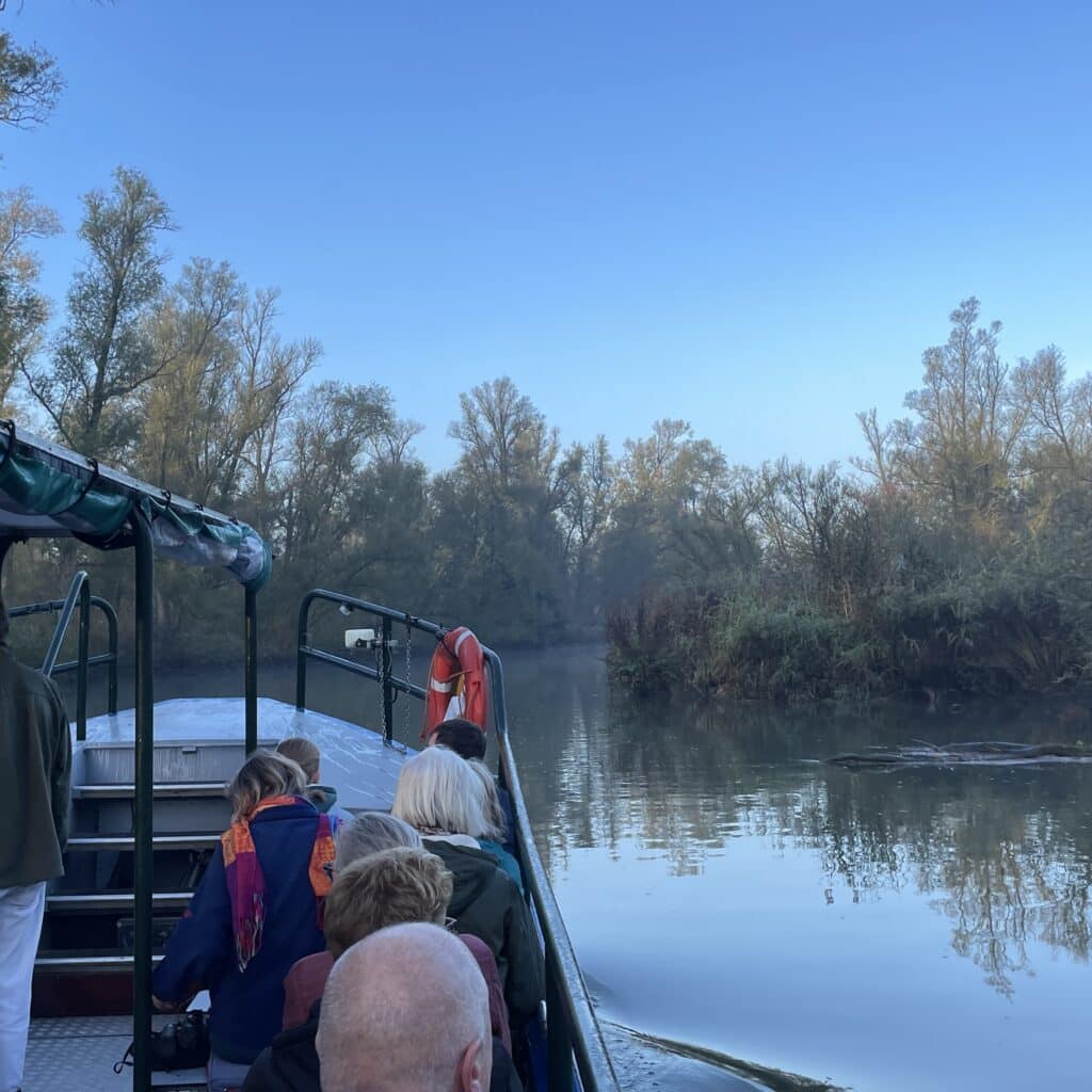 Winterse Biesbosch Fluistervaartocht natuur Dordrecht