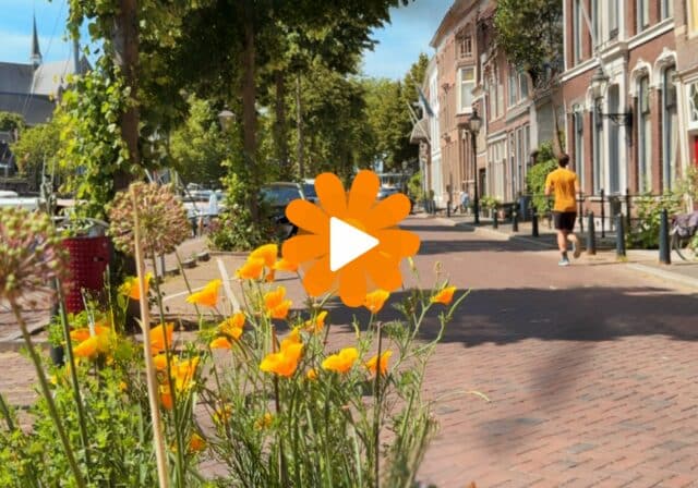Uitgelichte afbeelding reel top 10 dingen lente