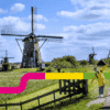 ZHB zomeractie Kinderdijk