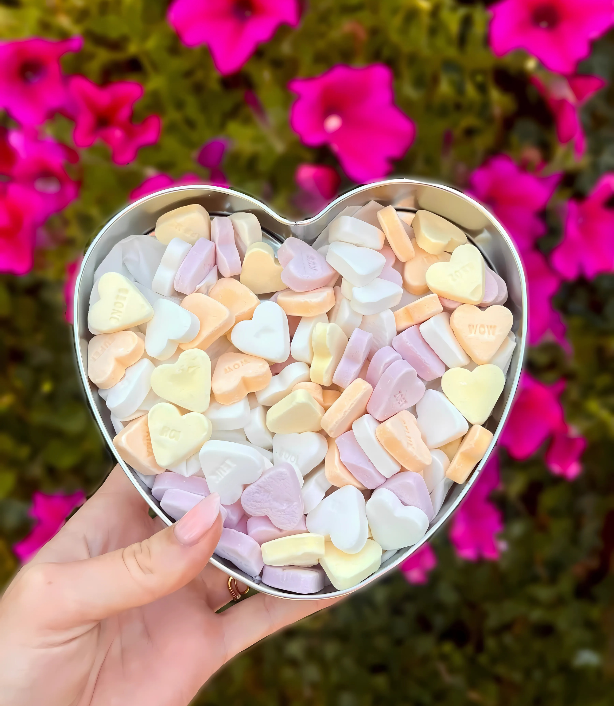 VVV Dordrecht Hartblik Dordrecht vruchtenhartjes