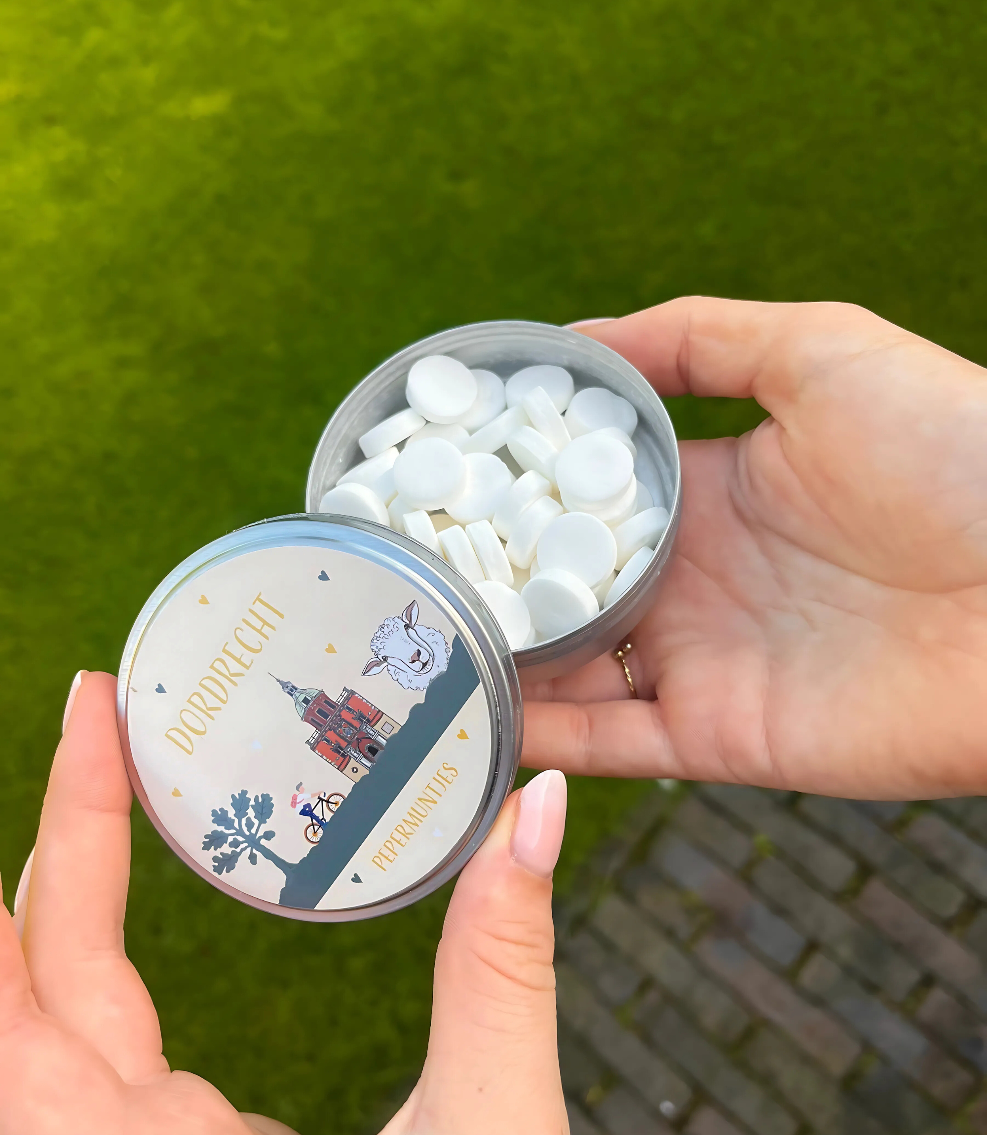 VVV Dordrecht Blikje pepermunt Dordrecht schaap