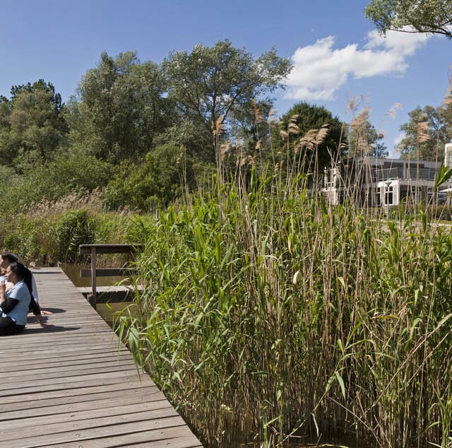 Stayokay achter terras steiger Dordrecht