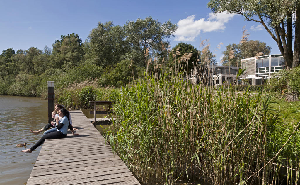 Stayokay achter terras steiger Dordrecht