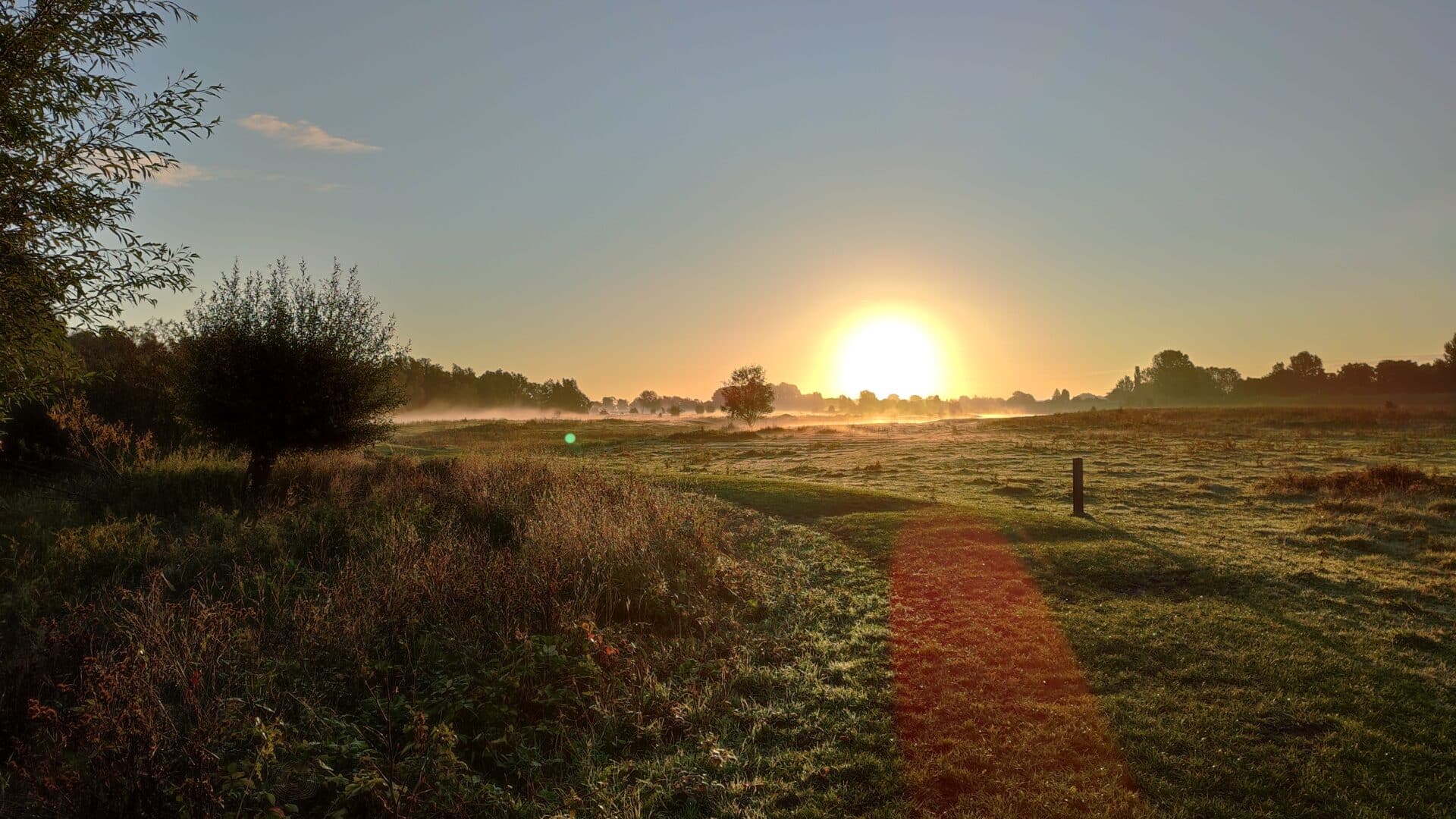 Zonsondergang biesbosch