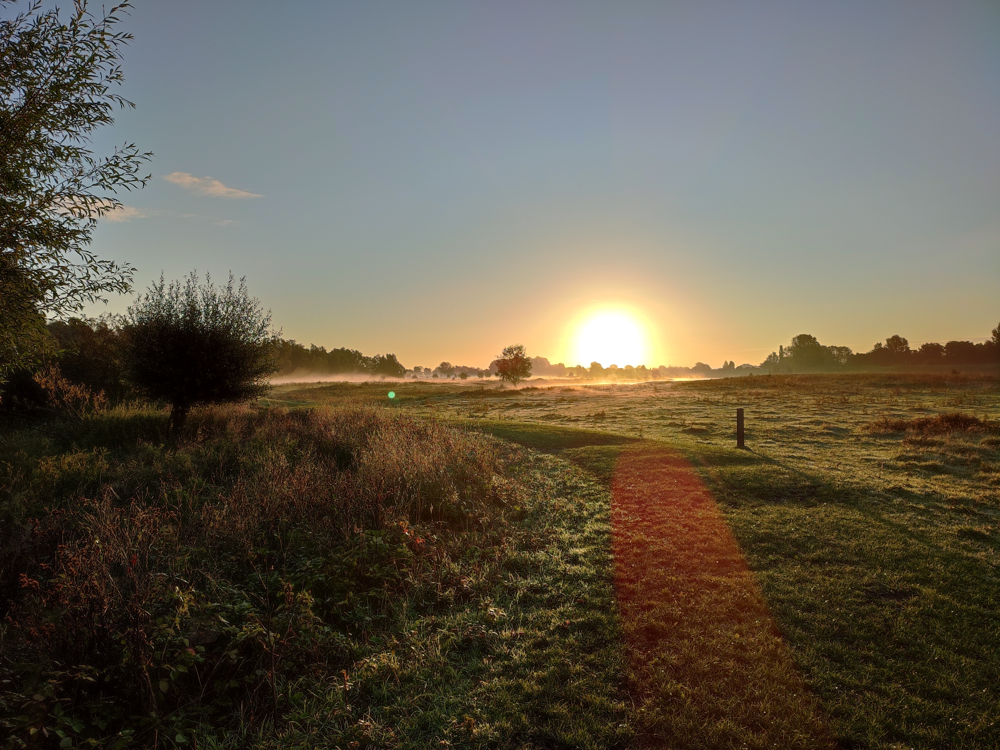 Zonsondergang biesbosch
