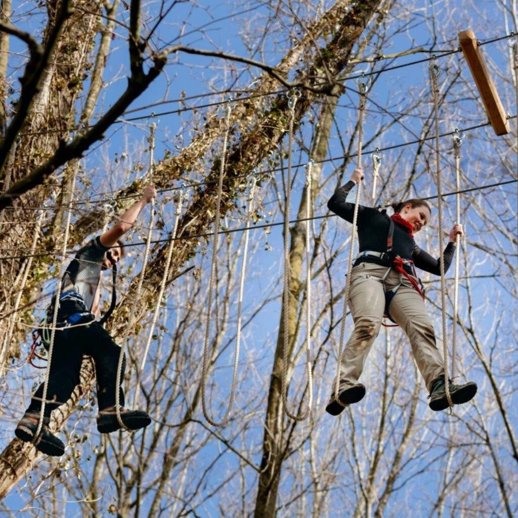 Klimbos Herfst Biesbosch Dordrecht