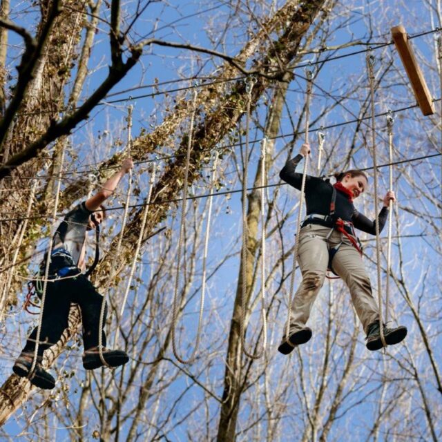 Klimbos Herfst Biesbosch Dordrecht