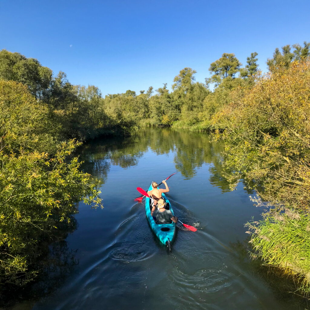 Biesbosch kano varen nationaal park natuur water Dordrecht