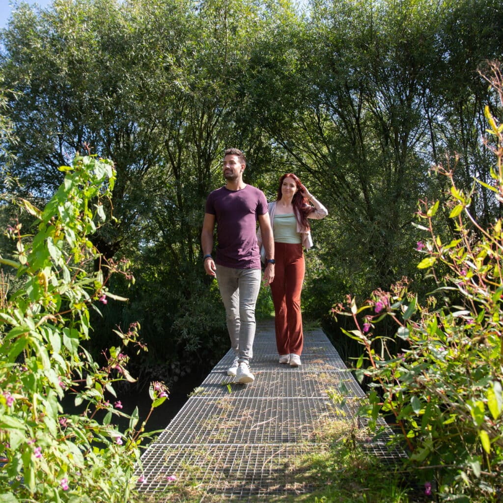 Nationaal Park de Biesbosch Biesboschcentrum wandelen Griendmuseumpad Dordrecht natuur lente herfst