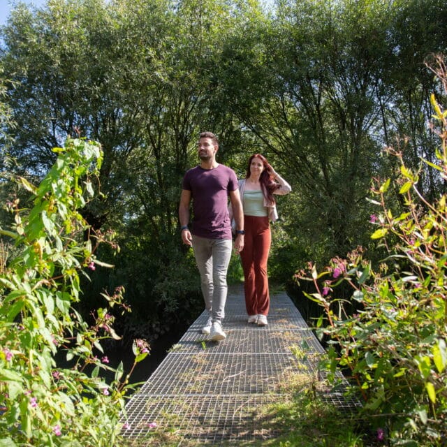 Nationaal Park de Biesbosch Biesboschcentrum wandelen Griendmuseumpad Dordrecht natuur lente herfst