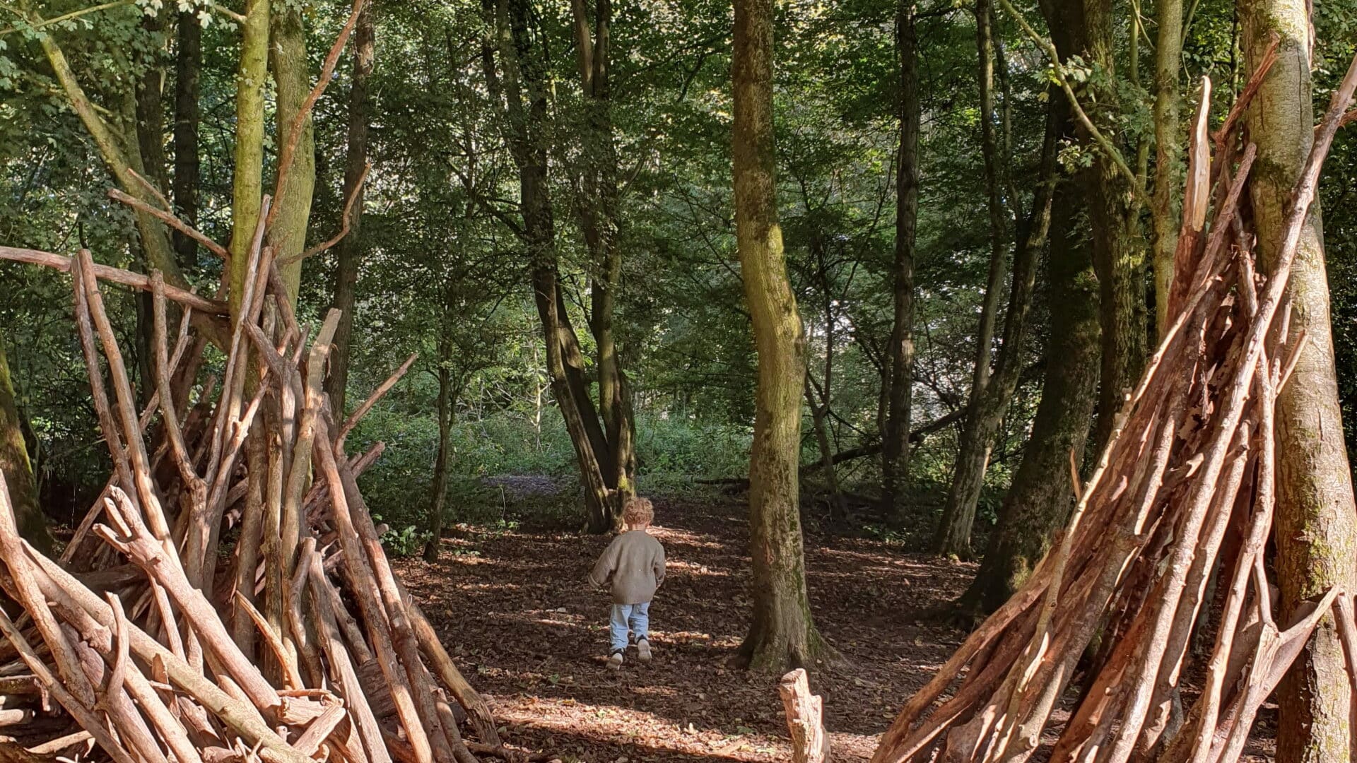 Nationaal Park de Biesbosch beverbos kids kinderen natuur wandelen Dordrecht lente zomer herfst