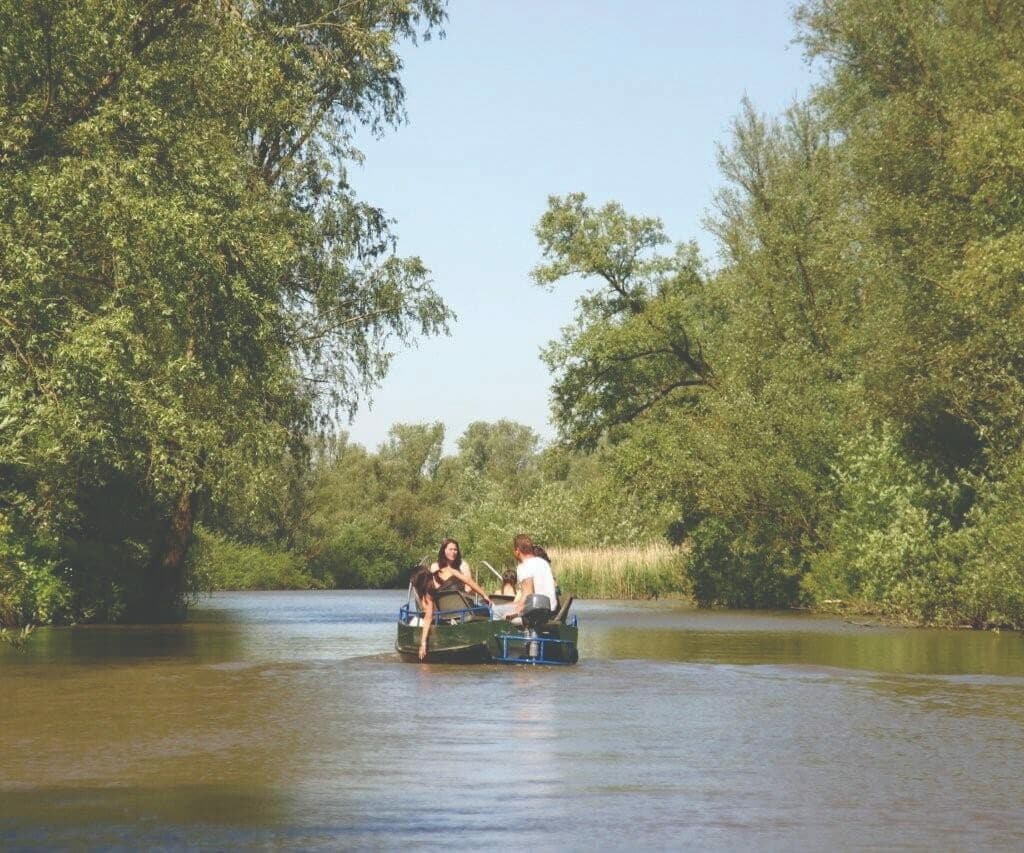 Nationaal Park de Biesbosch boot water natuur Dordrecht