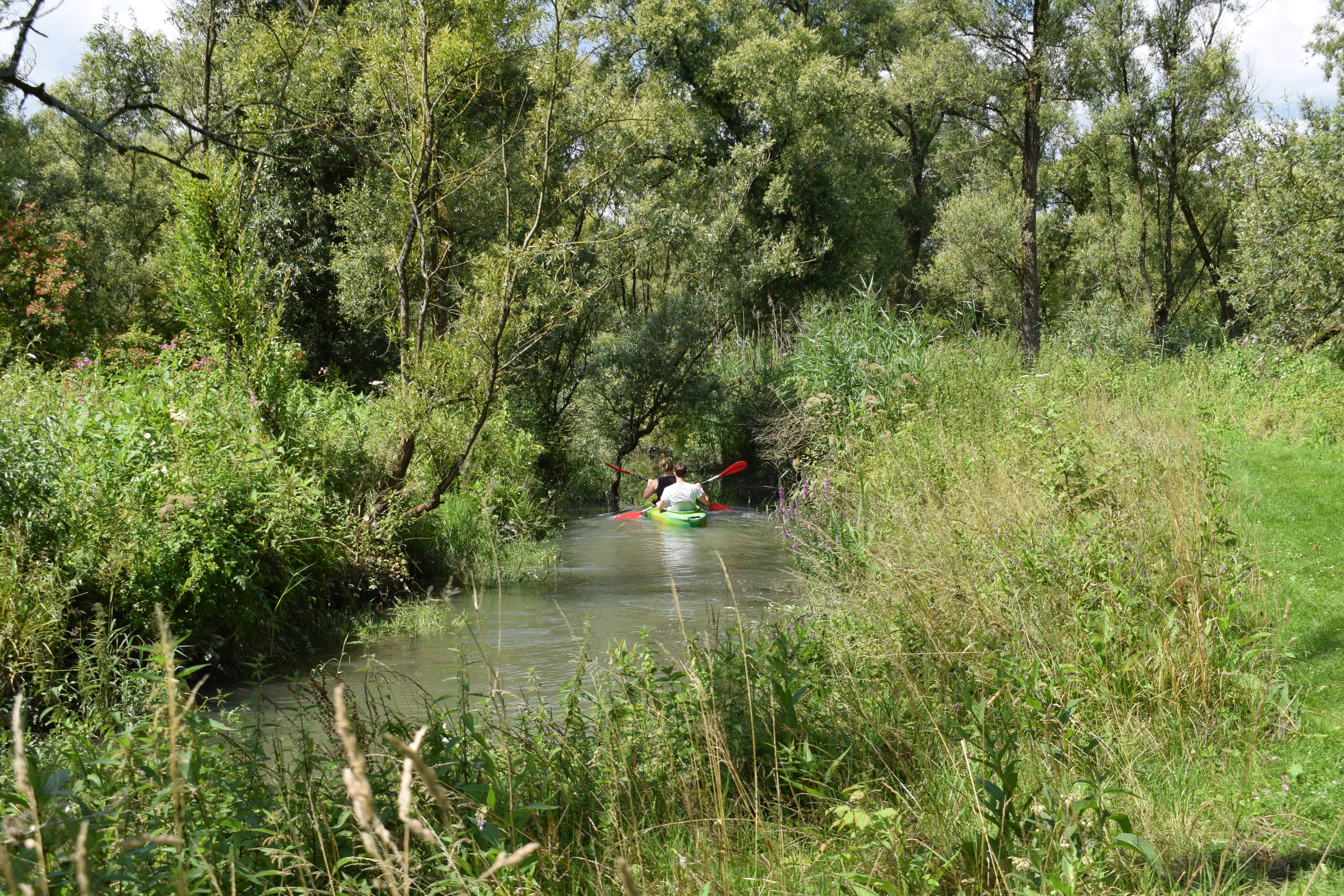 Nationaal Park de Biesbosch kano natuur water Dordrecht (1)
