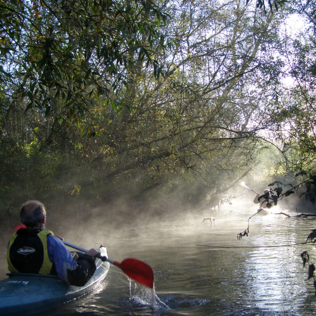 Nationaal Park de Biesbosch kano natuur water Dordrecht