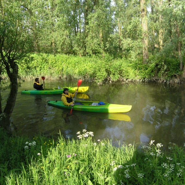 Nationaal Park de Biesbosch kano water natuur Dordrecht