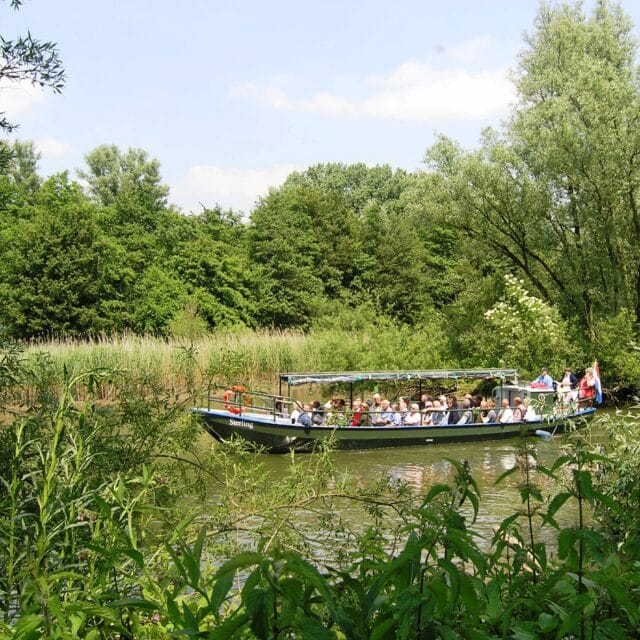 Nationaal Park de Biesbosch rondvaart fluistervaartocht fluister natuur water Dordrecht