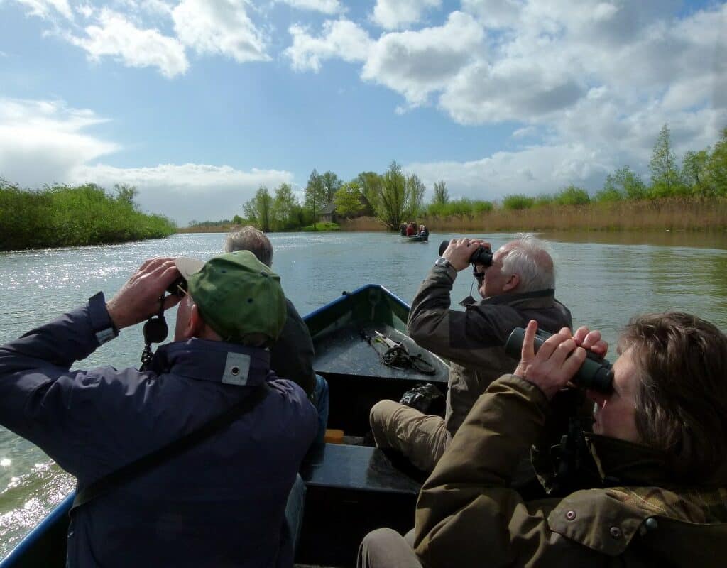 Nationaal Park de Biesbosch vogels spotten rondvaart boot water natuur Dordrecht