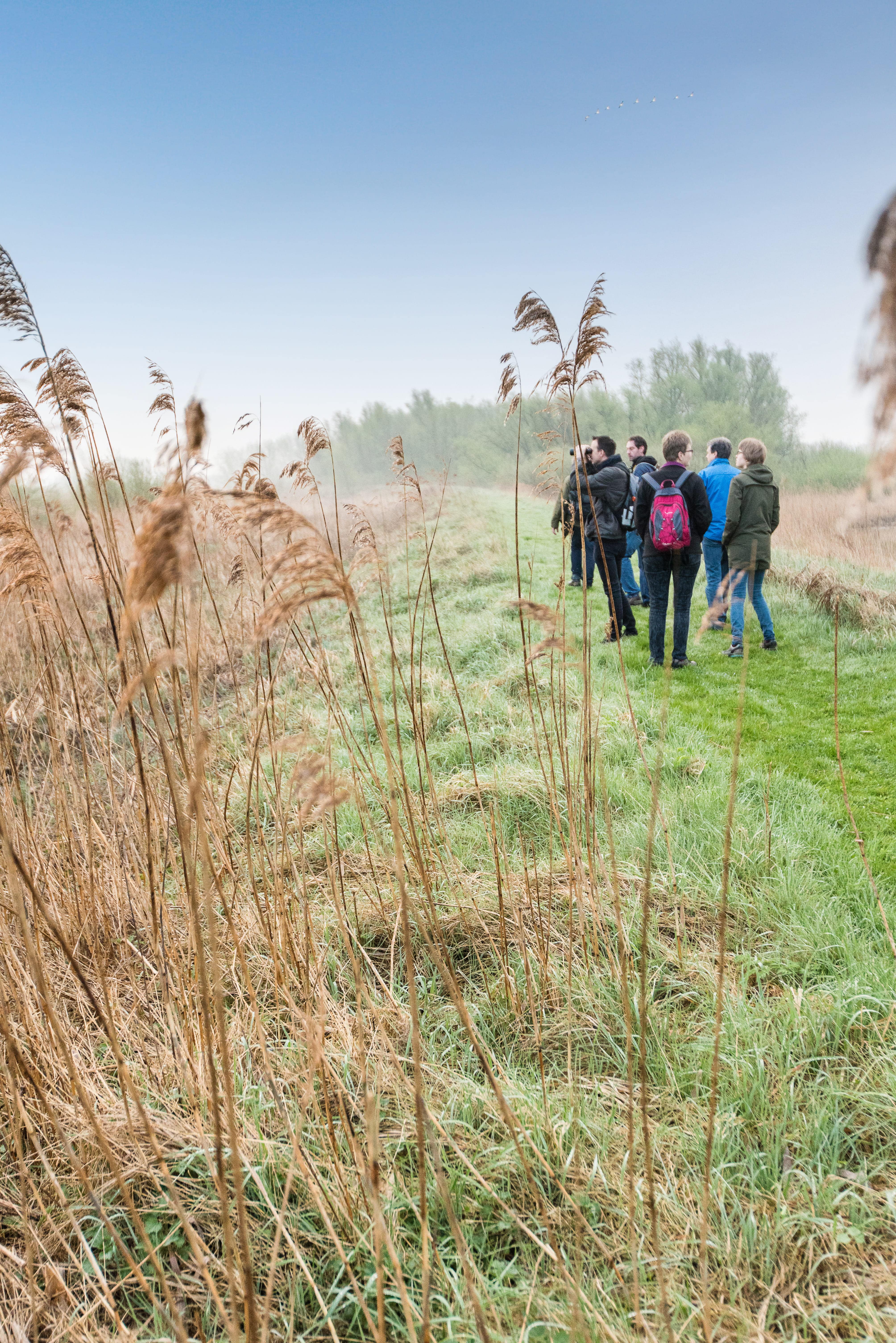Nationaal Park de Biesbosch wandelen herfst winter Dordrecht