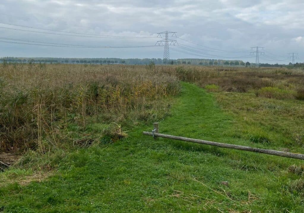 Natuur wandeling nieuwe biesbosch route dordrecht vol verhalen familie vlot (1)