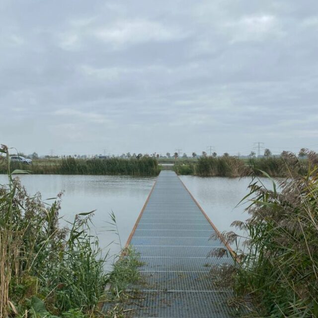 Natuur wandeling nieuwe biesbosch route dordrecht vol verhalen familie vlot (2)