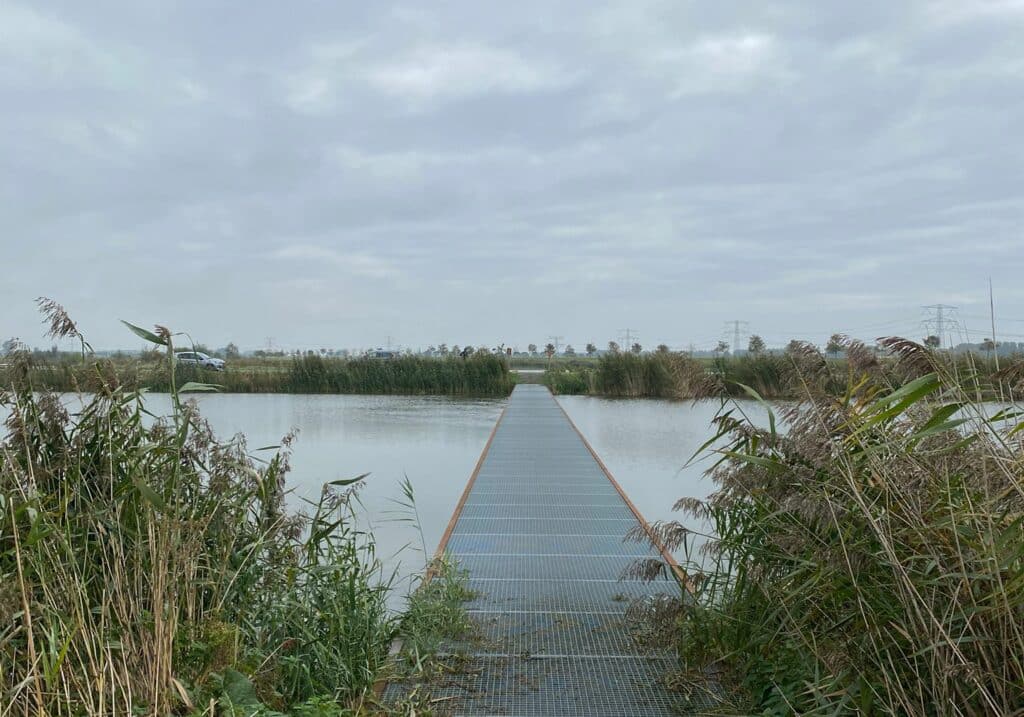 Natuur wandeling nieuwe biesbosch route dordrecht vol verhalen familie vlot (2)
