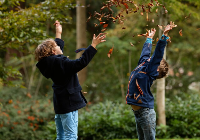 Park Merwestein kids kinderen natuur herfst Dordrecht (2)