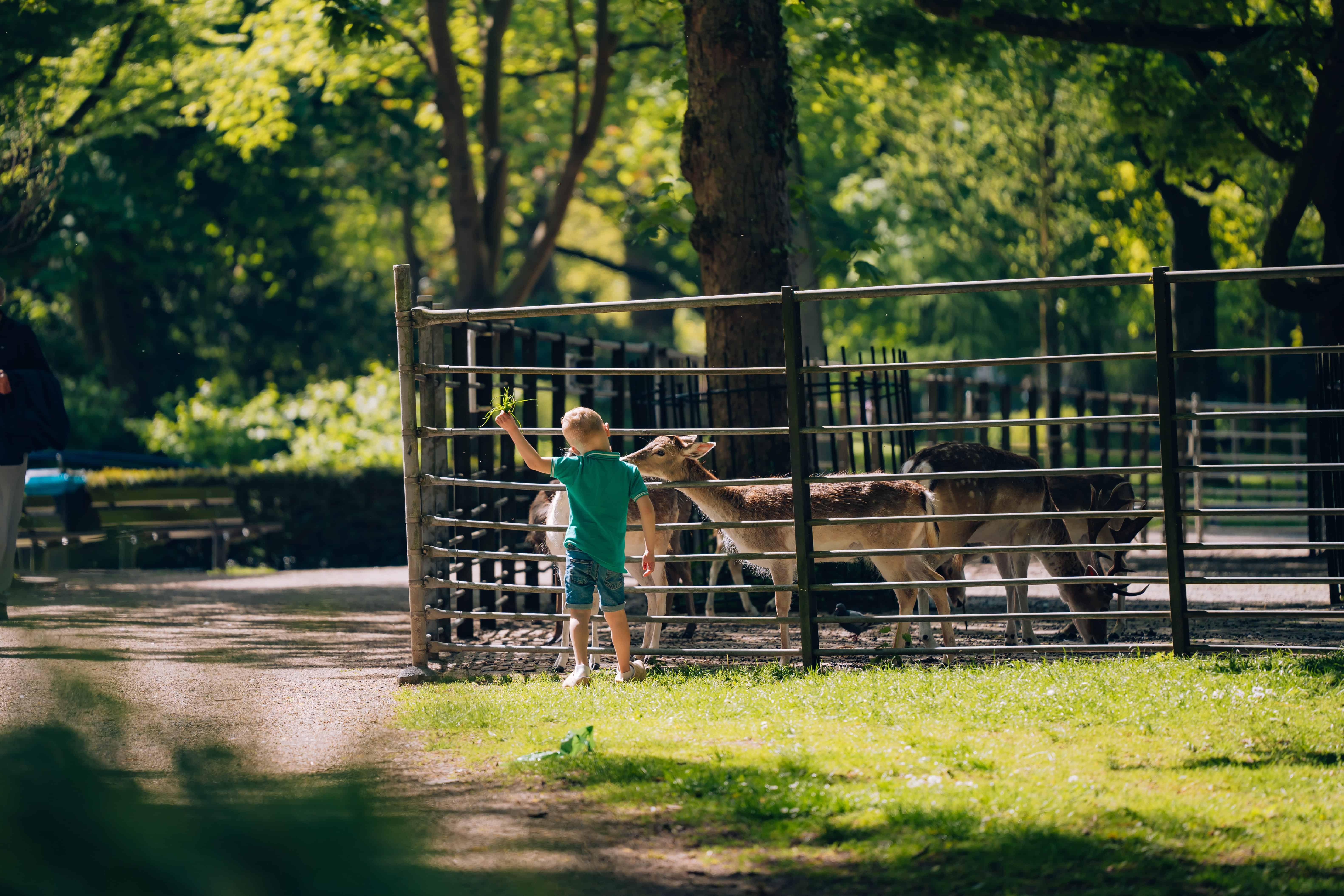 Park Merwestein kids kinderen natuur herten Dordrecht lente zomer