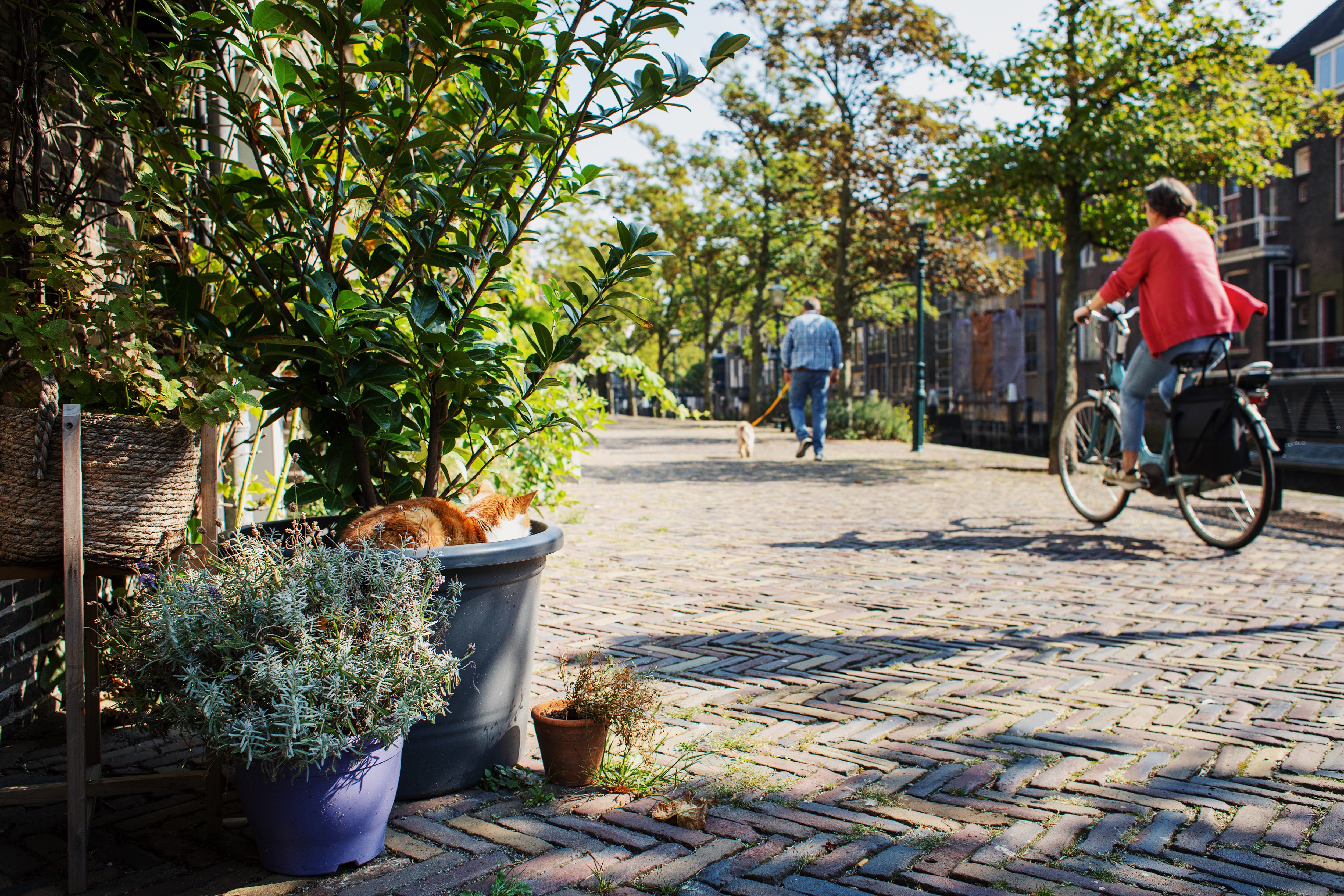 Pottenkade fietsen Voorstraathaven herfst centrum Dordrecht