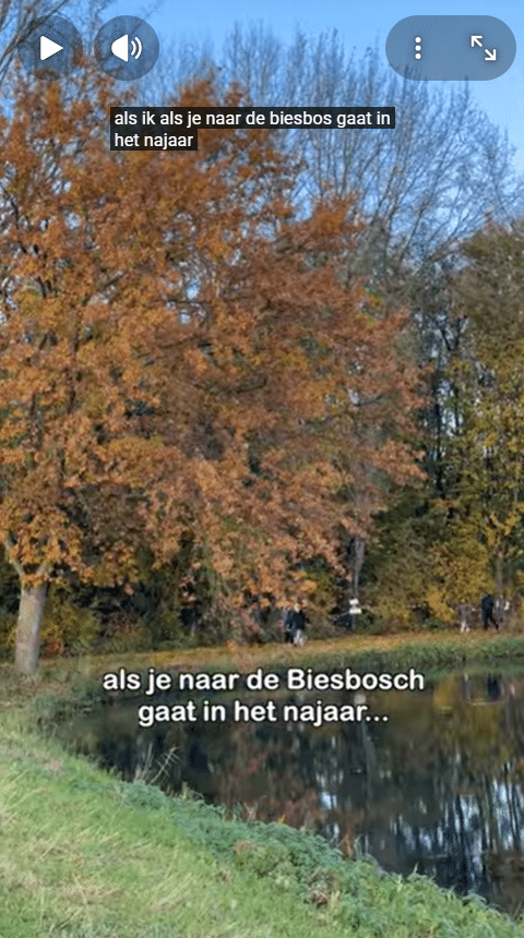 Thumbnail biesbosch in het najaar video britt