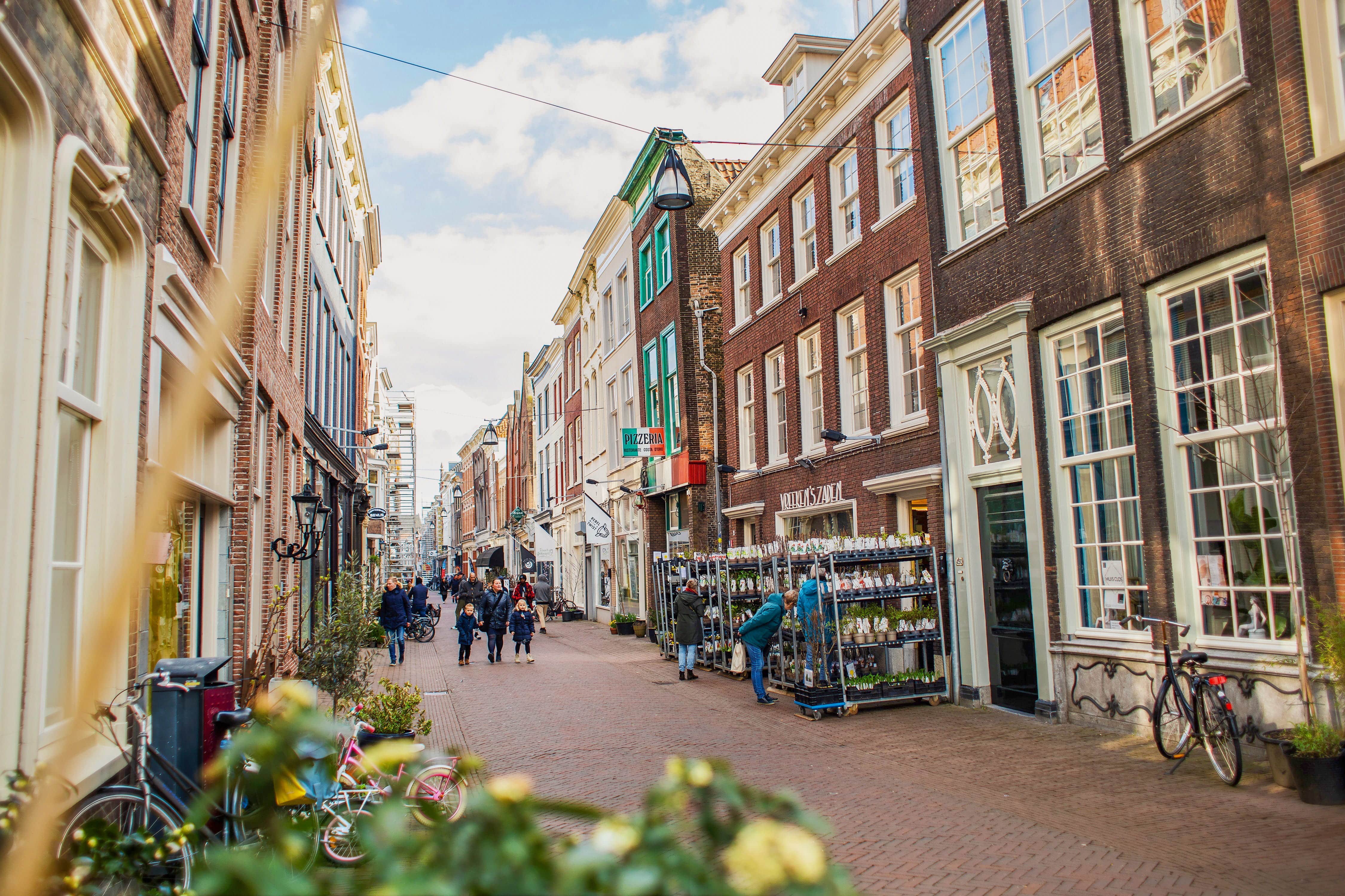 Vreekens Zaden winkelen tuin planten Voorstraat West lente centrum Dordrecht (2)