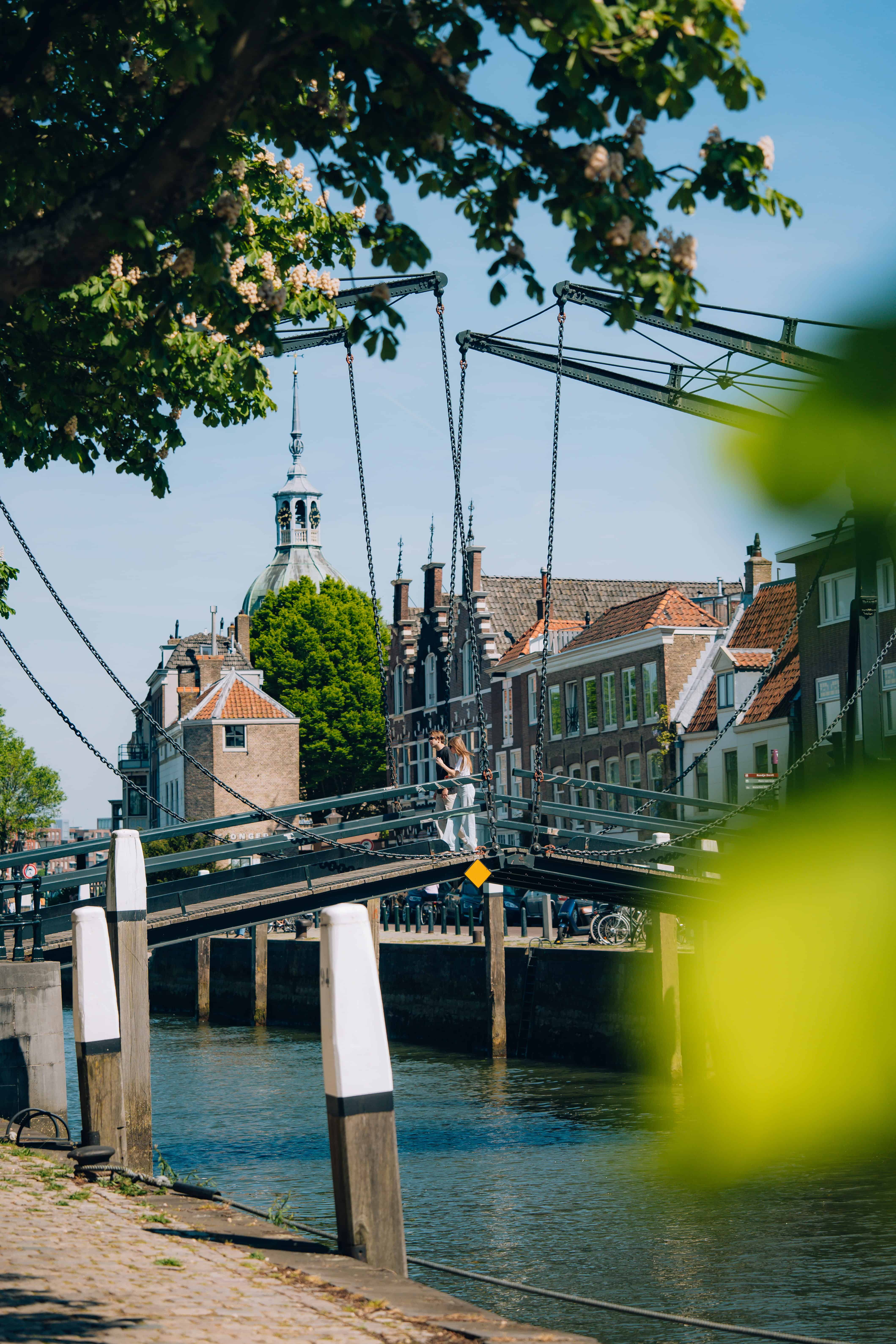 Wandelen Damiatebrug binnenstad Dordrecht lente zomer